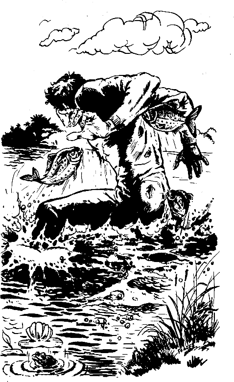 zvezden_gost_4.png zvezden_gost_4.png