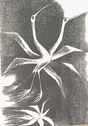 713-img7.gif 713-img7.gif