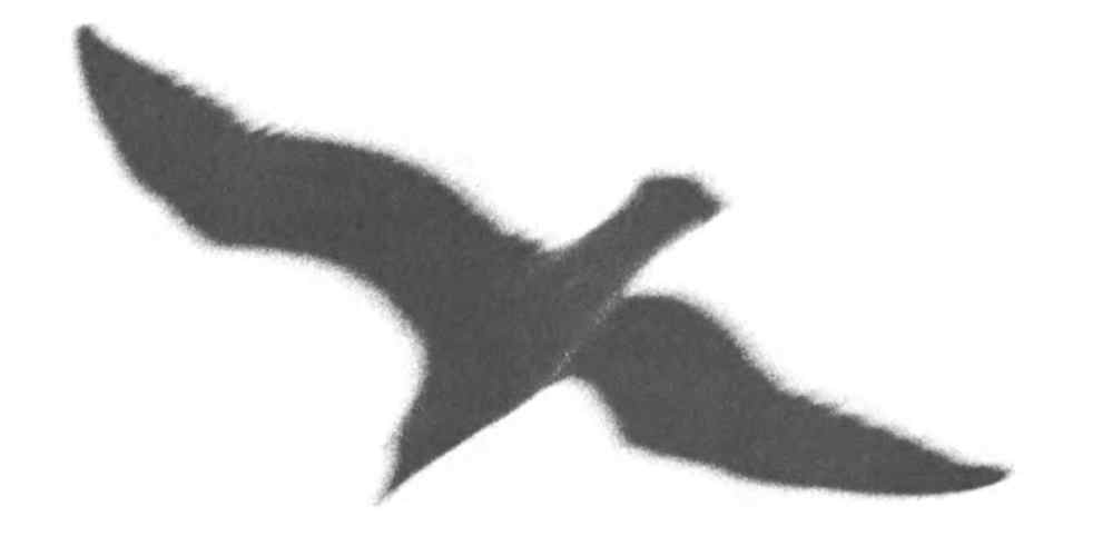 Тъмна птица в полет с разперени криле на стр. 45 Тъмна птица в полет с разперени криле на стр. 45