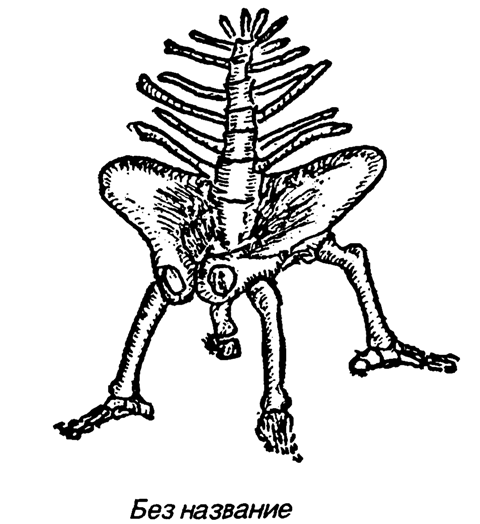 kongres-nenazovano.png kongres-nenazovano.png