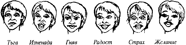 Различни изражения на лицето при жената Различни изражения на лицето при жената