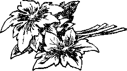 okoto_na_dyavola_6.png okoto_na_dyavola_6.png