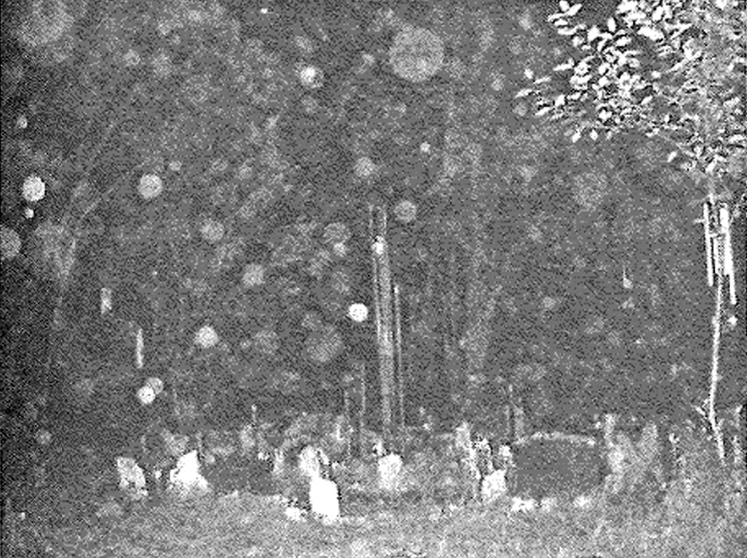 Фигура 3. Снимка на орби в Кристална мрежа. Фотография: Майкъл Кох. decata-figura_3_orbi_v_kristalna_mreja.jpg