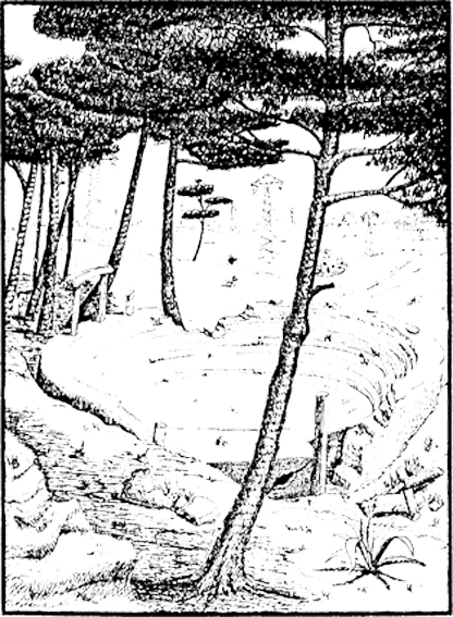 momo_6.png momo_6.png