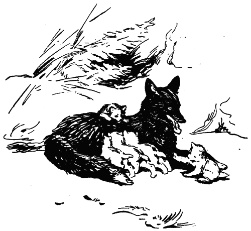 povest_za_edna_gora_pic21.png povest_za_edna_gora_pic21.png