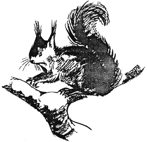 palavnitsa1.png palavnitsa1.png