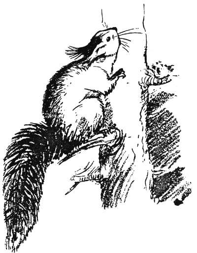 palavnitsa3.png palavnitsa3.png