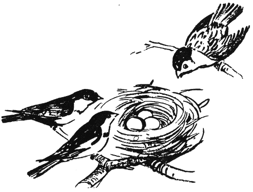 bodlivijat_tryn1.png bodlivijat_tryn1.png