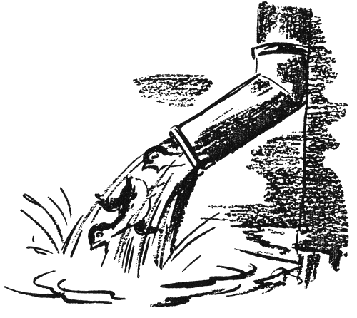 bodlivijat_tryn4.png bodlivijat_tryn4.png