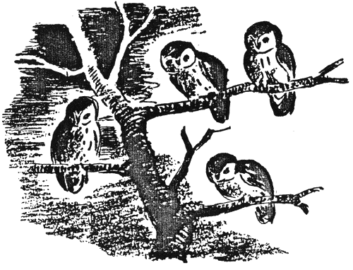 ushi_mushi2.png ushi_mushi2.png