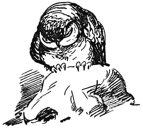 ushi_mushi3.png ushi_mushi3.png