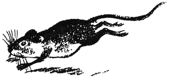 ushi_mushi4.png ushi_mushi4.png