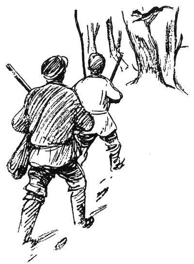 lakomoto_meche_skitnitsa2.png lakomoto_meche_skitnitsa2.png