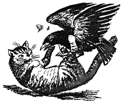 sivoto_oko2.png sivoto_oko2.png