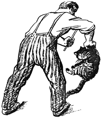 sivoto_oko3.png sivoto_oko3.png