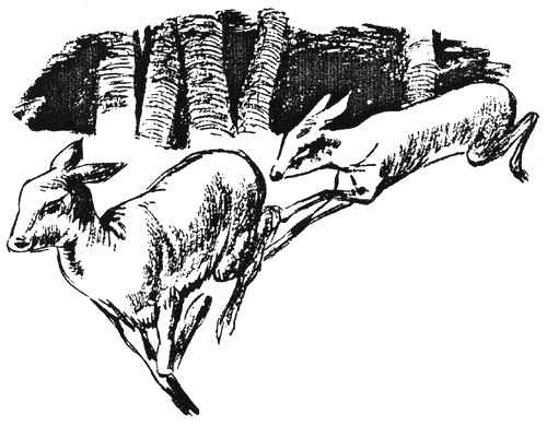 pri_horata1.png pri_horata1.png