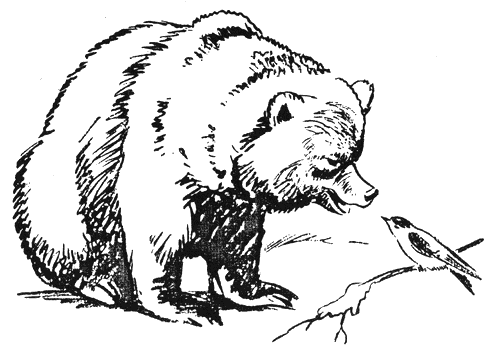 gorski_chudesa1.png gorski_chudesa1.png