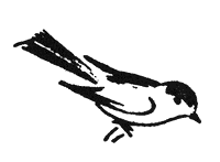 gorski_chudesa2.png gorski_chudesa2.png