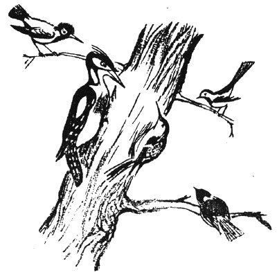 proletna_trevoga.png proletna_trevoga.png