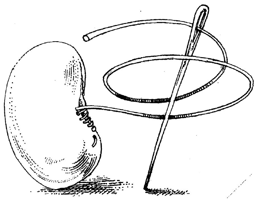 grim-prikazki-14.png grim-prikazki-14.png