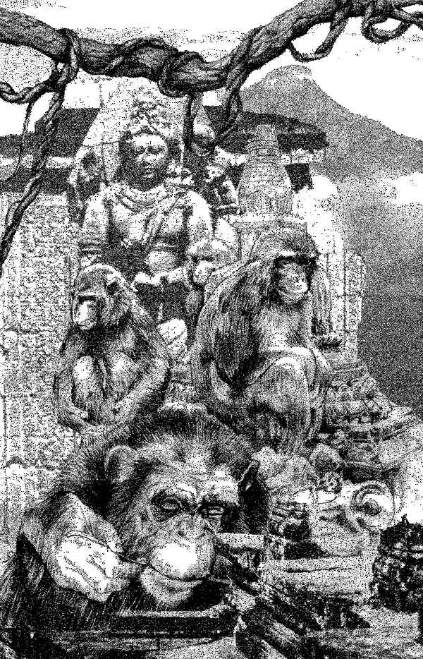 kniga_za_junglata_04.png kniga_za_junglata_04.png