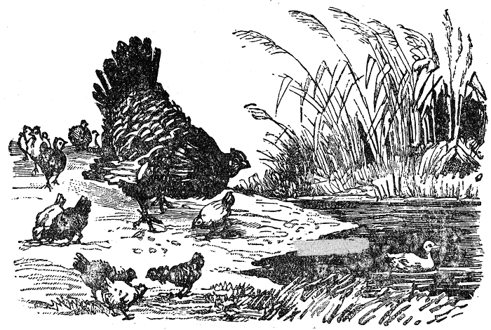 razkazi_i_prikazki_ot_ruski_pisateli_klasitsi_pic31.png razkazi_i_prikazki_ot_ruski_pisateli_klasitsi_pic31.png