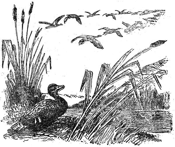 razkazi_i_prikazki_ot_ruski_pisateli_klasitsi_pic48.png razkazi_i_prikazki_ot_ruski_pisateli_klasitsi_pic48.png
