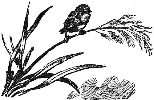 razkazi_i_prikazki_ot_ruski_pisateli_klasitsi_pic64.png razkazi_i_prikazki_ot_ruski_pisateli_klasitsi_pic64.png
