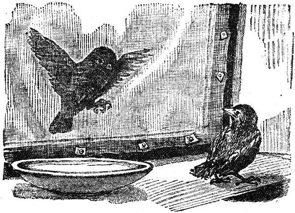 razkazi_i_prikazki_ot_ruski_pisateli_klasitsi_pic65.png razkazi_i_prikazki_ot_ruski_pisateli_klasitsi_pic65.png