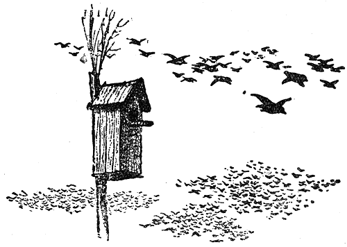 razkazi_i_prikazki_ot_ruski_pisateli_klasitsi_pic68.png razkazi_i_prikazki_ot_ruski_pisateli_klasitsi_pic68.png