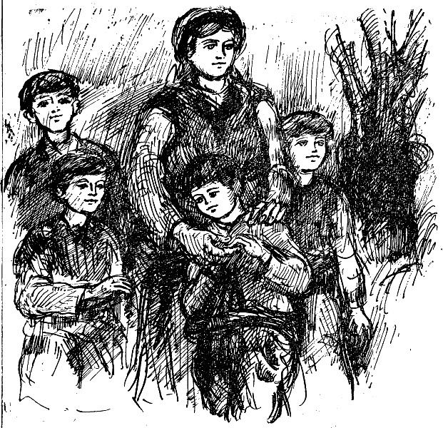 majstor_taso.png majstor_taso.png