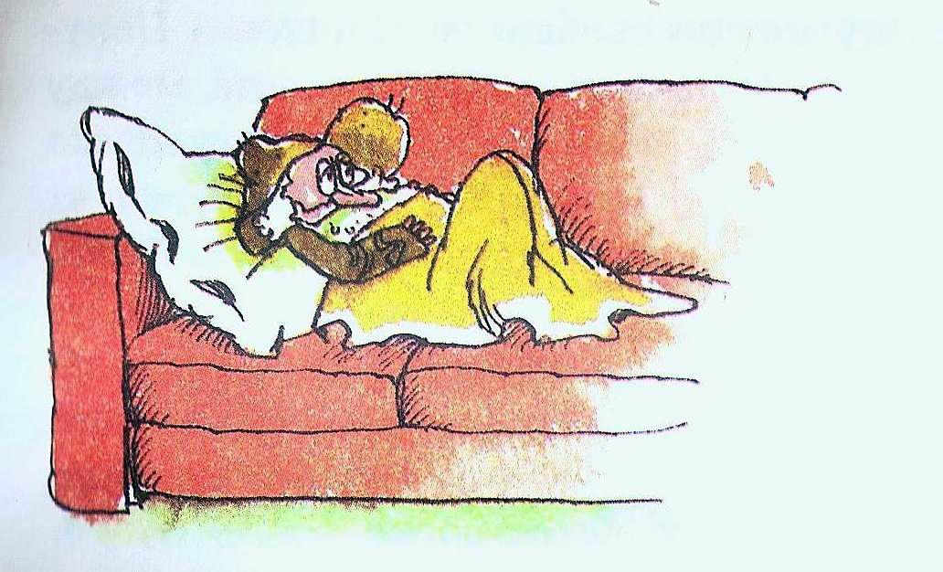 mahesta_brada_spi_na_divana.jpg mahesta_brada_spi_na_divana.jpg