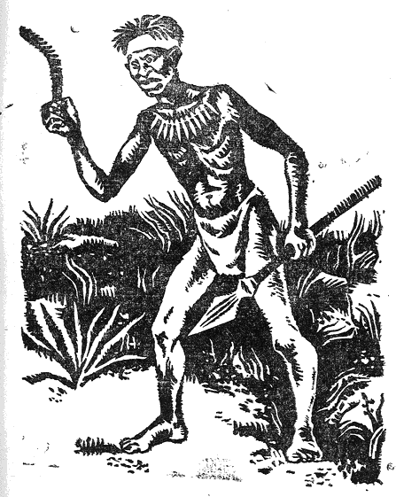 tuzemets_s_bumerang.png tuzemets_s_bumerang.png