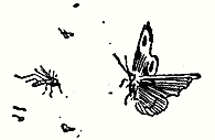 prikljuchenijata_na_neznajko_0086.png prikljuchenijata_na_neznajko_0086.png