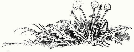 prikljuchenijata_na_neznajko_0162.png prikljuchenijata_na_neznajko_0162.png