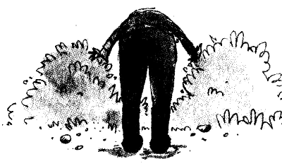 grivnata_na_kralitsata_tyrsene.png grivnata_na_kralitsata_tyrsene.png