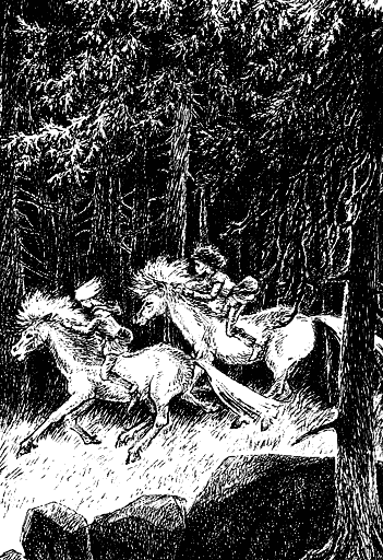 ronja_30.png ronja_30.png