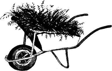 krehka_sila_gradinska_kolichka.png krehka_sila_gradinska_kolichka.png