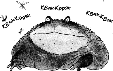 krehka_sila_krastava_zhaba.png krehka_sila_krastava_zhaba.png