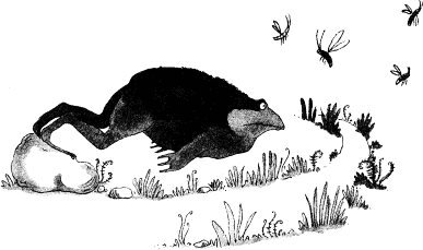 krehka_sila_tajnata_pyteka.png krehka_sila_tajnata_pyteka.png