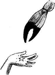 ostrov_zvezda_podaryk.png ostrov_zvezda_podaryk.png