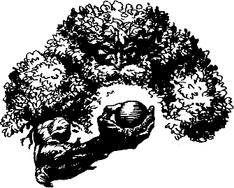 gospodarya_na_mraka_9.png gospodarya_na_mraka_9.png