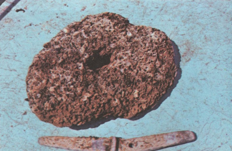 Каменна и оловна котва. Разликата във възрастта им е повече от едно хилядолетие sinija_prag_kamenna_i_olobna_kotva.jpg