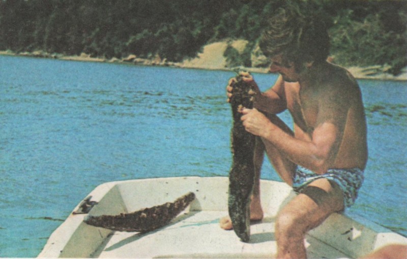 Петьофа с каменния щок от Свети Атанас sinija_prag_petiof_kamenen_shtok.jpg