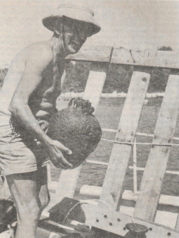 … един професор във въздуха sinija_prag_profesor_vuv_vuzduha.jpg