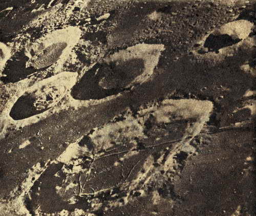 Лунни кратери vakantsija_na_lunata_lunni_krateri.jpg