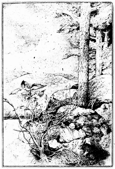 izbrani_tvorbi_v_dva_toma_2_07.png izbrani_tvorbi_v_dva_toma_2_07.png