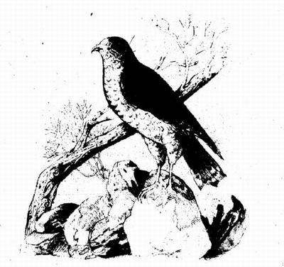 izbrani_tvorbi_v_dva_toma_2_24.png izbrani_tvorbi_v_dva_toma_2_24.png