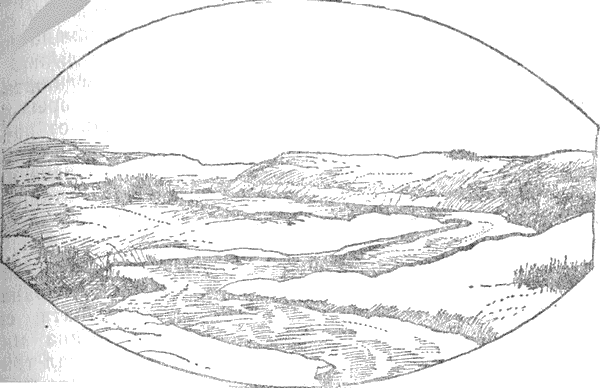 zhivotyt_po_misisipi_reka.png zhivotyt_po_misisipi_reka.png