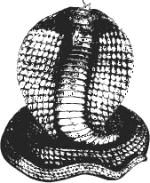 sfinks_3.png sfinks_3.png